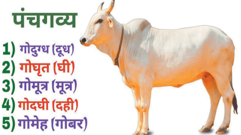 पेनरिलीफ फिजिओथेरपी