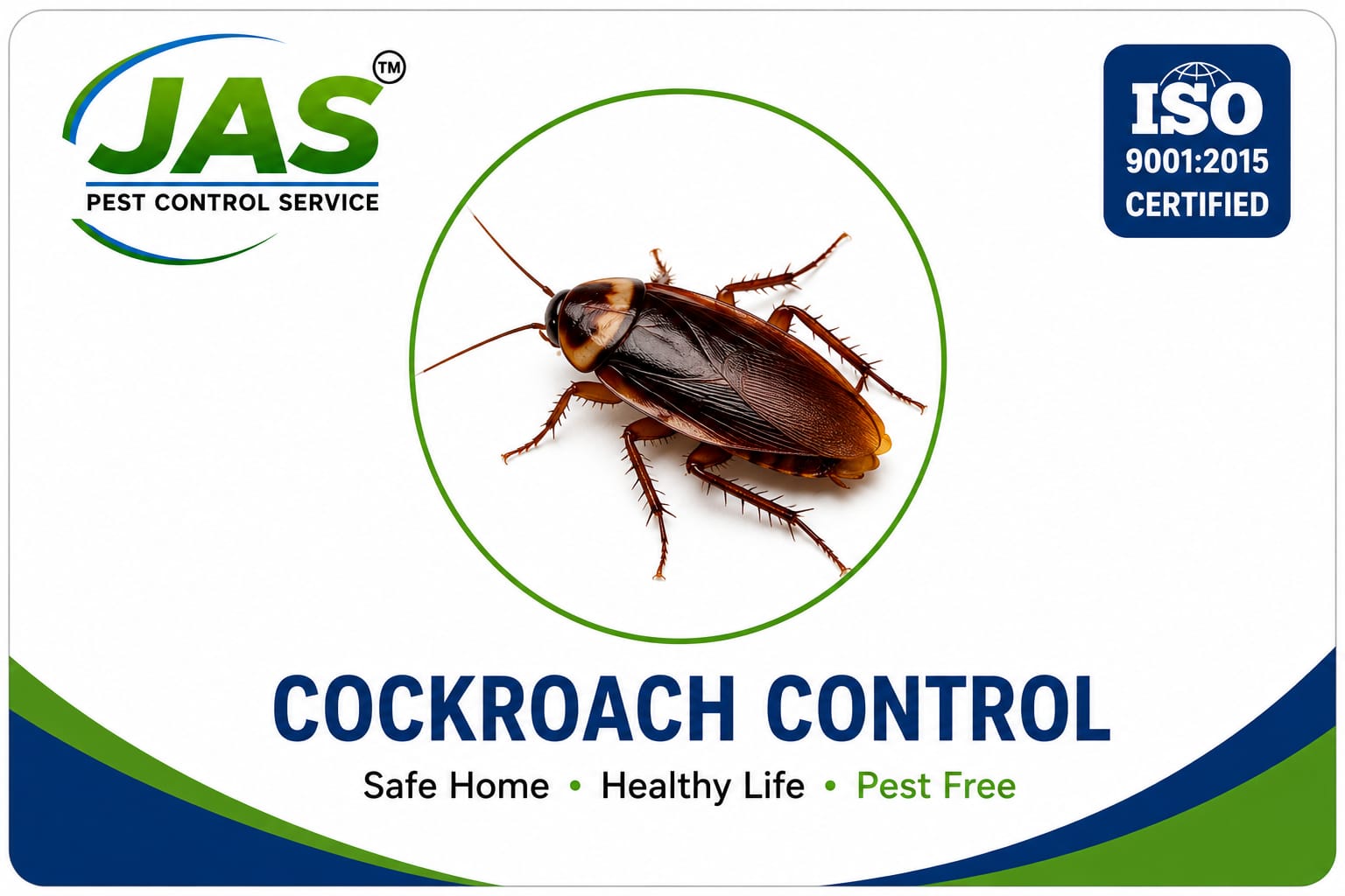 cockroach management ( പാറ്റ )