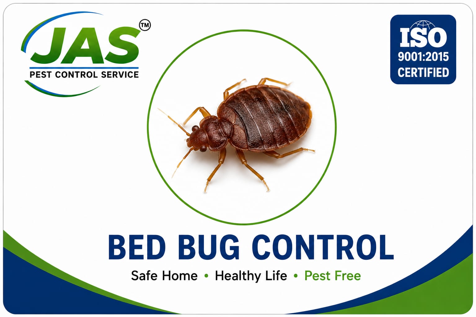 BED BUG MANAGEMENT ( മൂട്ട )