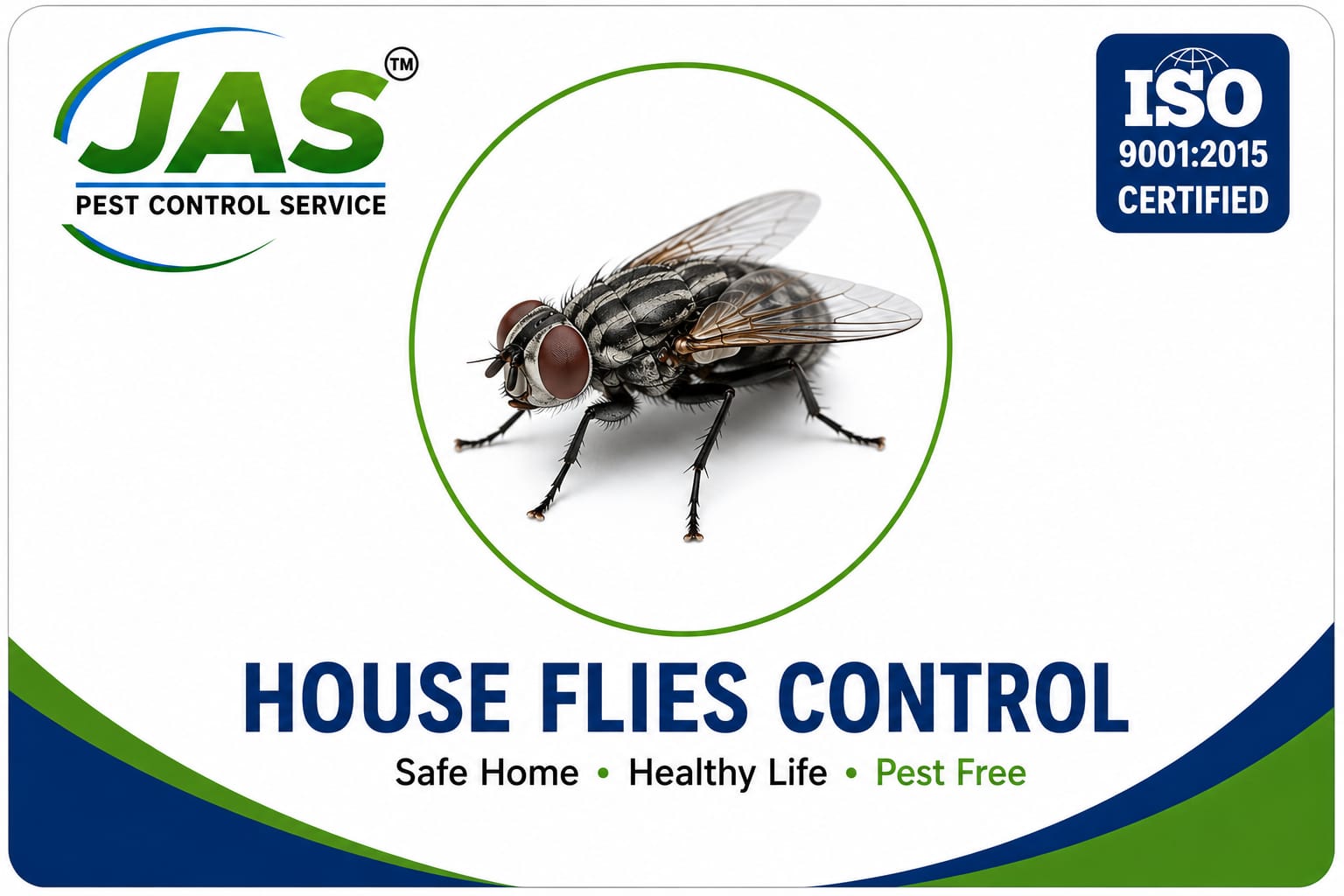 HOUSE FLIES CONTROL  ( ഈച്ച )
