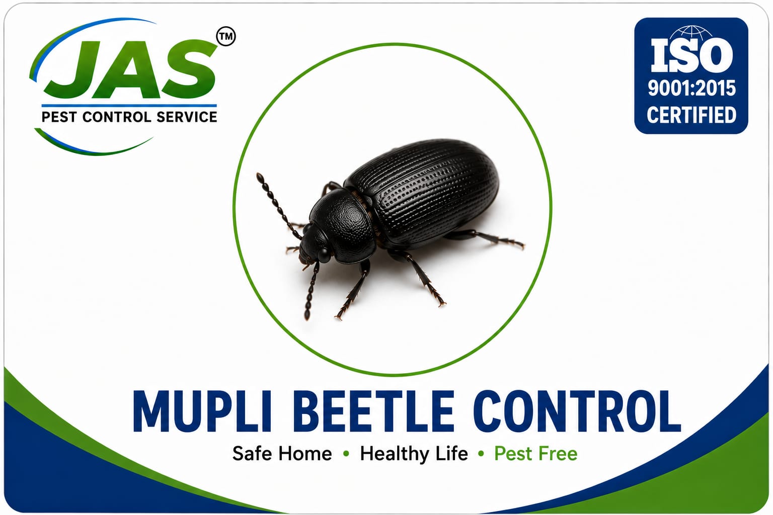 MUPLI BEETLE MANAGEMENT (ഓട്ടുറുമ )