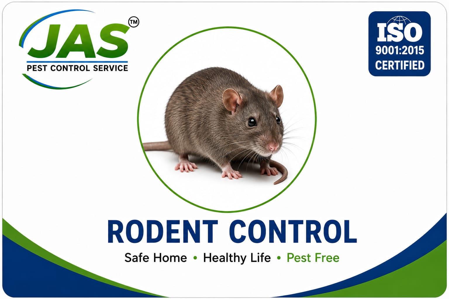 RODENT MANAGEMENT ( എലി )