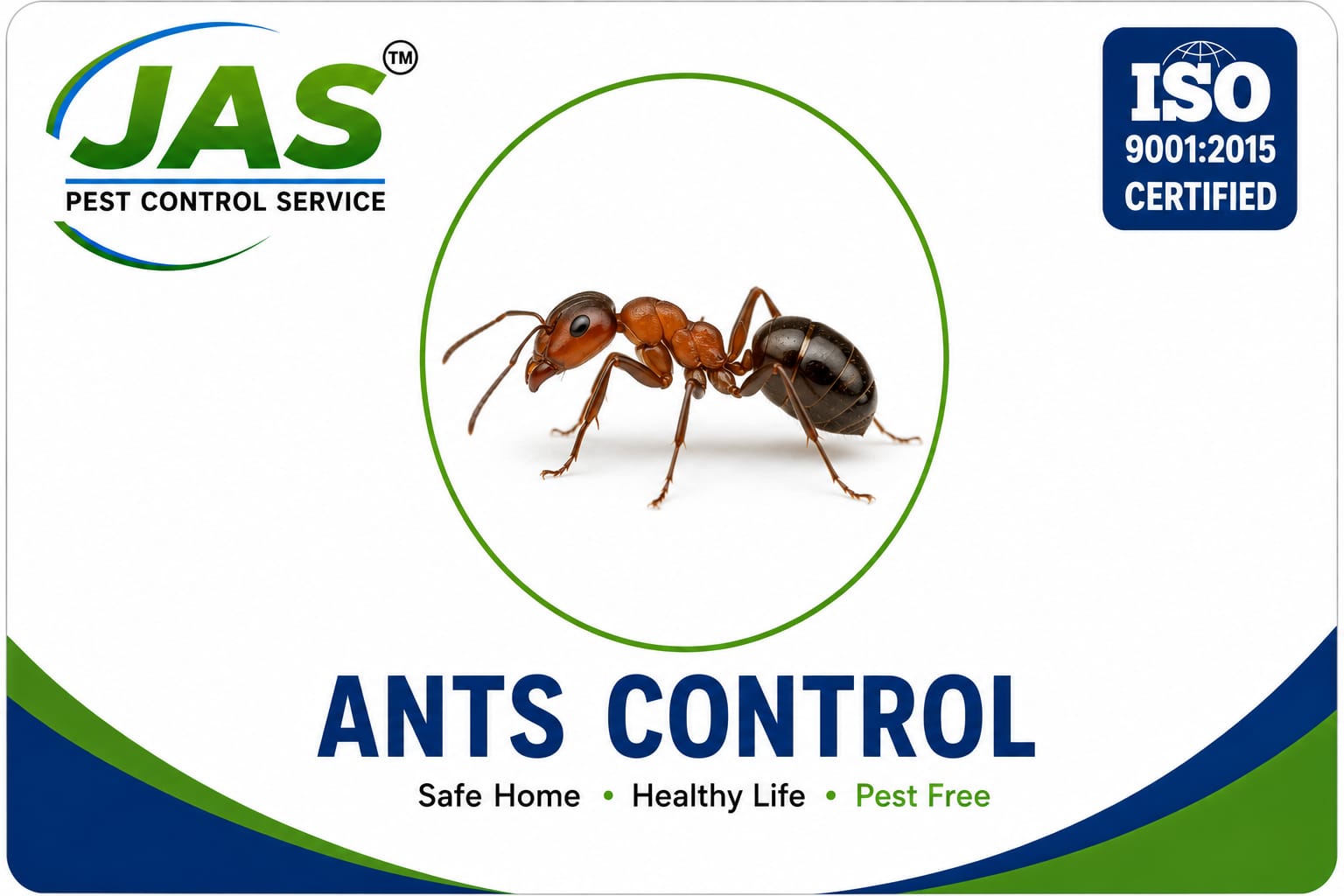ANTS CONTROL ( ഉറുമ്പ് )