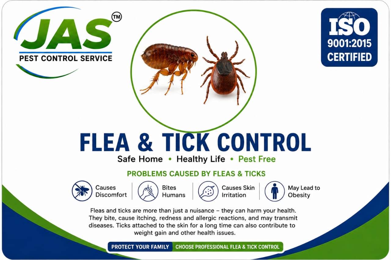 FLEA & TICKS ( ചെള്ള് - പട്ടി ,കോഴി,പന്നി,പശു ഇവയിൽ കാണപ്പെടുന്നു