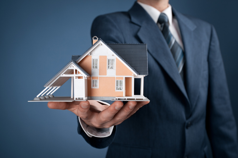 Real Estate Consultant