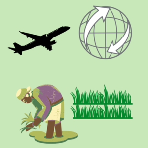 Agriculture Trading & Export-Import