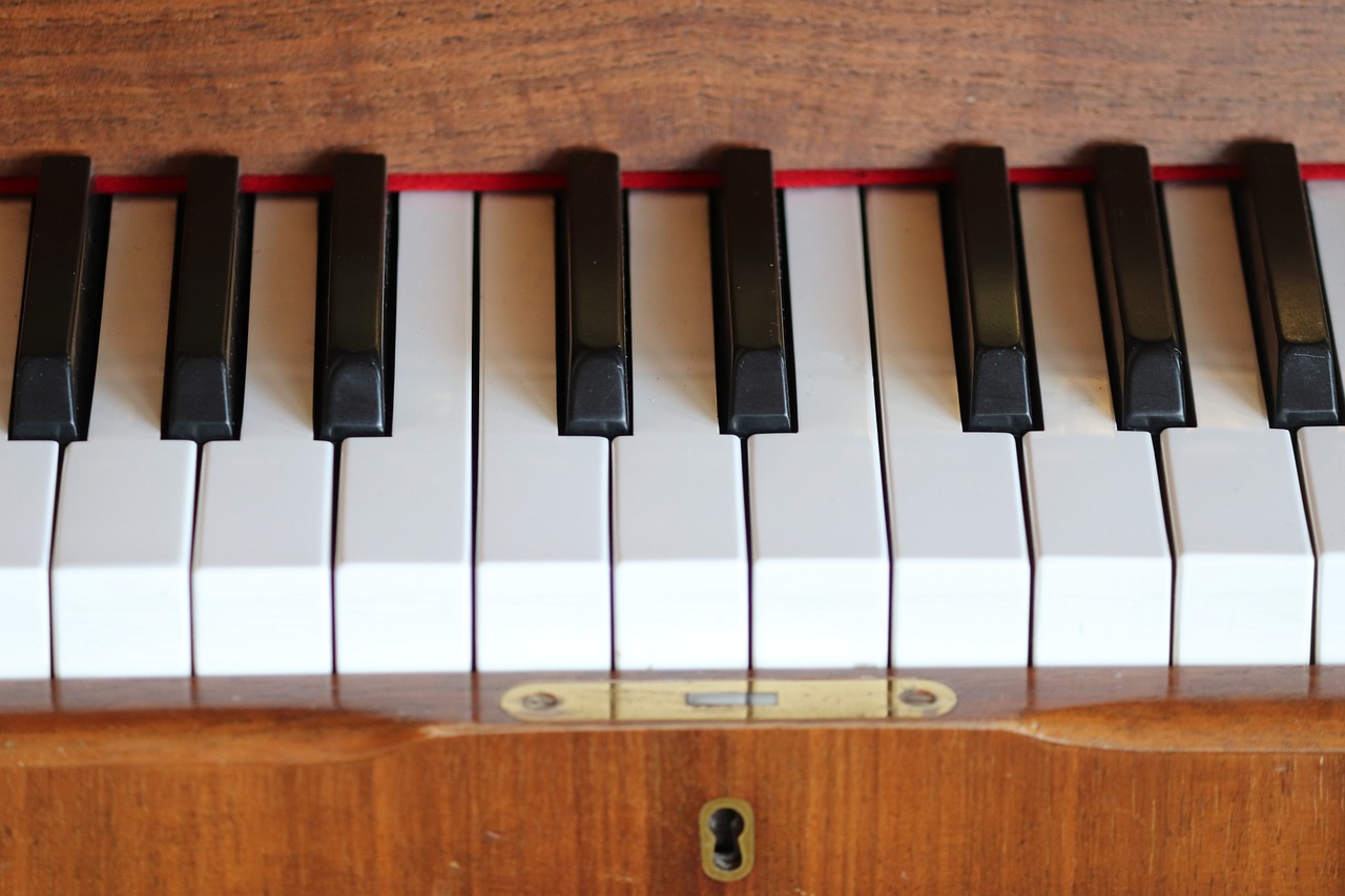 Harmonium (Basics)